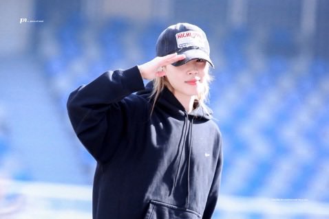 부추사우루스 tweet media