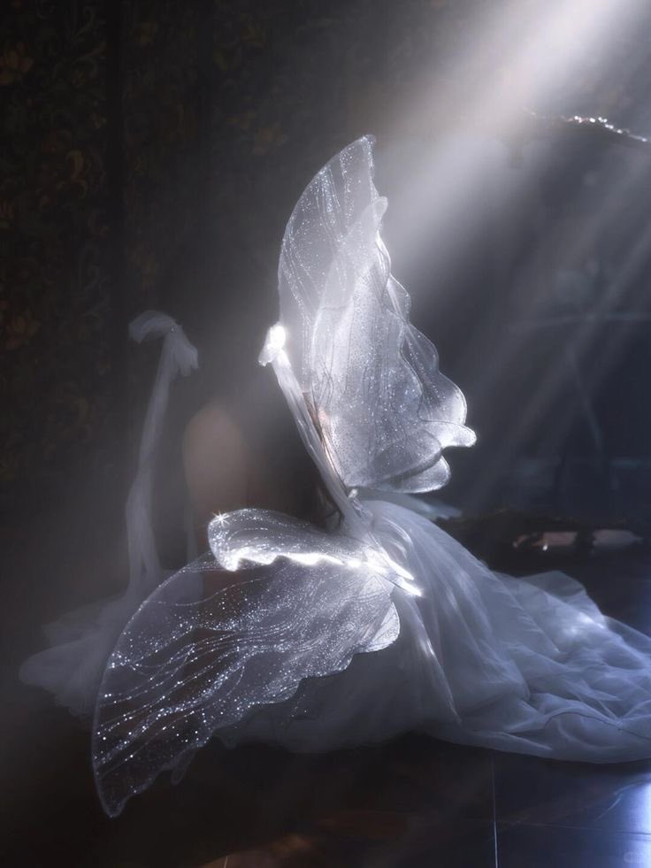 𝒱𝒾𝑜𝓁𝑒𝓉• tweet media