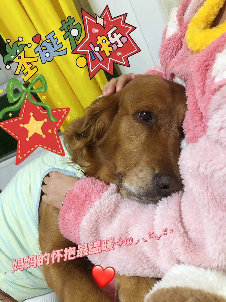 Adrianna tweet media