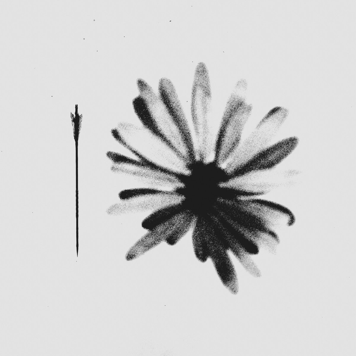 HAJER 😶‍🌫️ tweet media