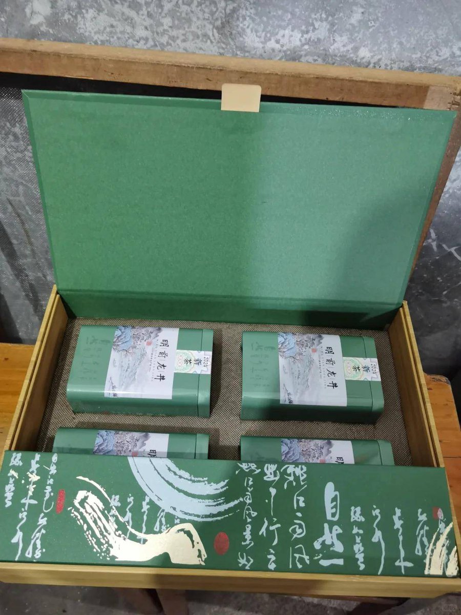 Molly Clark 🌺 tweet media