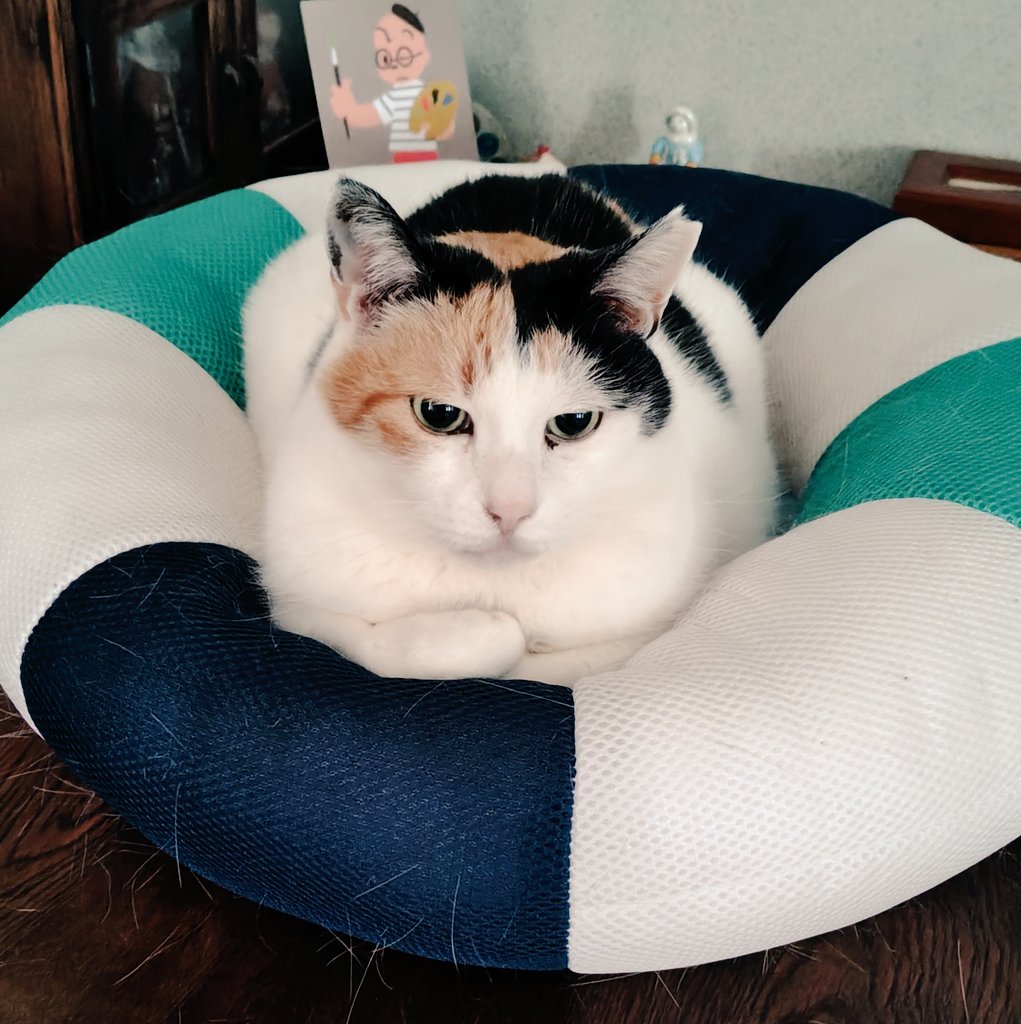 霙まじり tweet media