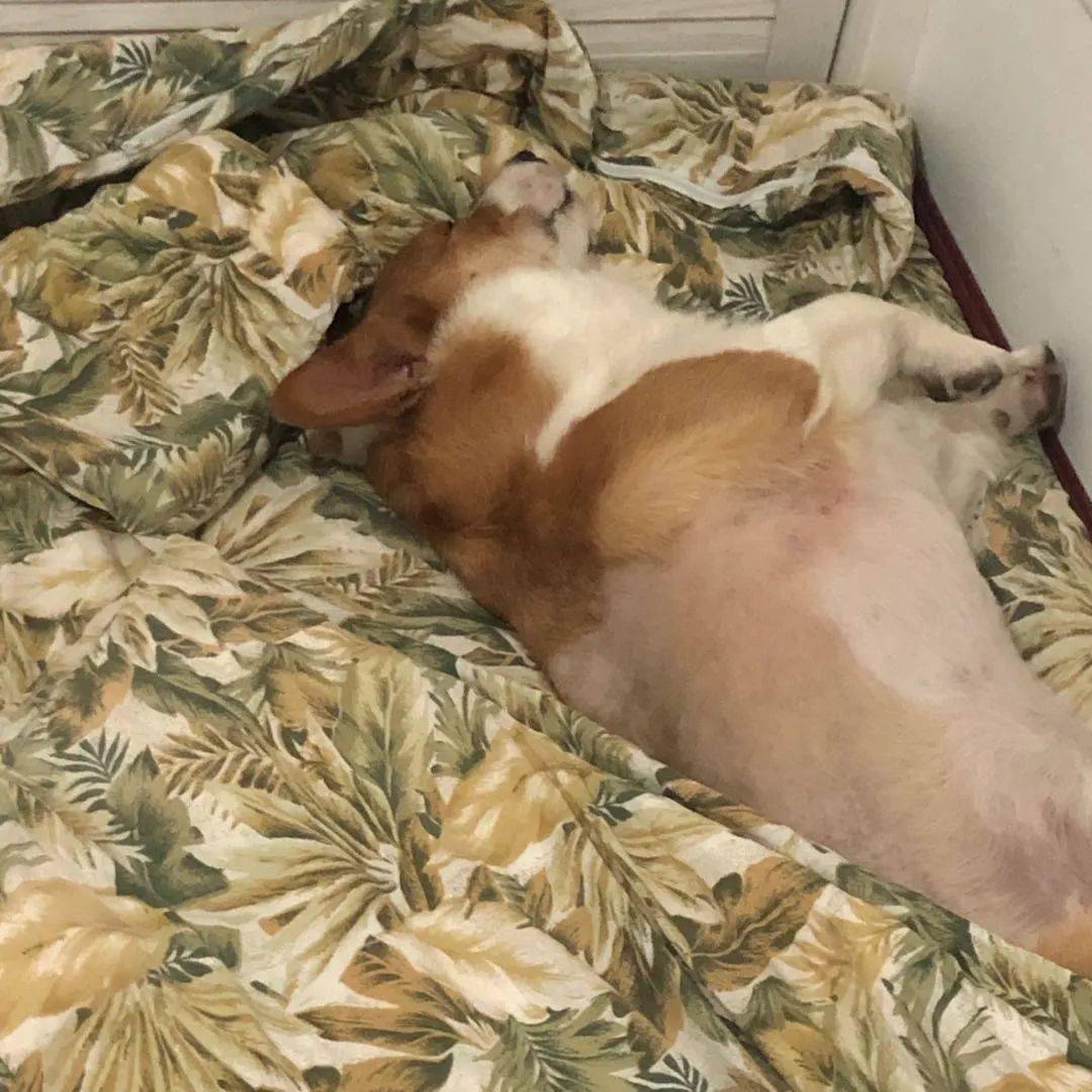 Toni Lockwood tweet media