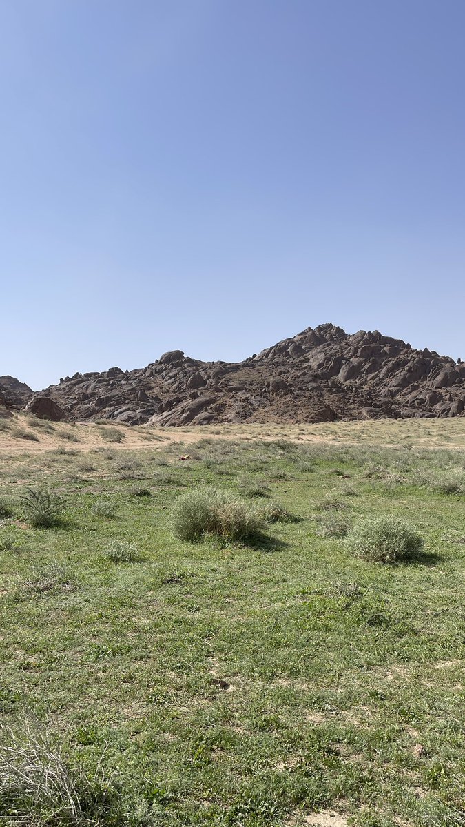 عبدالله محمد الحربي tweet media