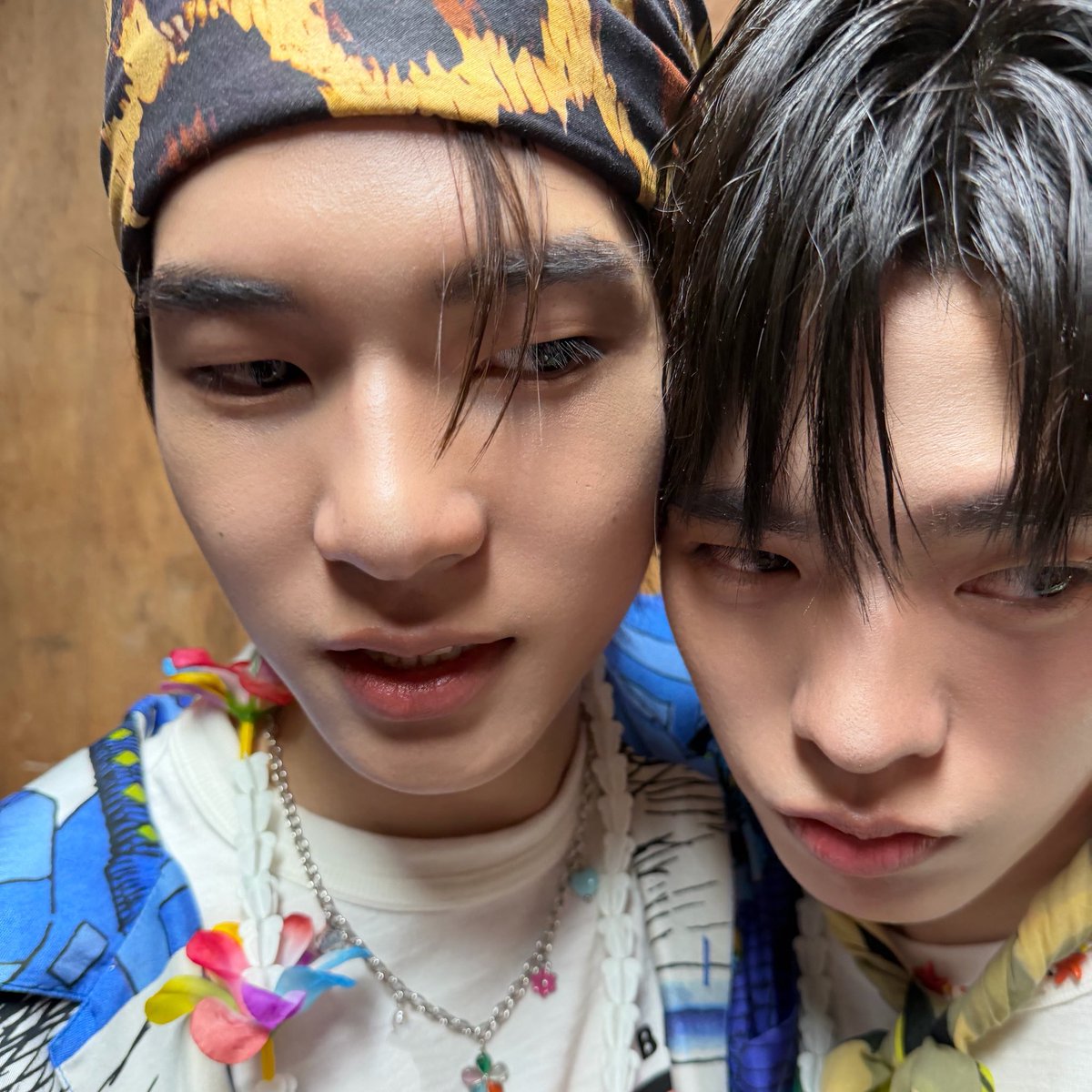 meanie’s 🐶🎨 tweet media