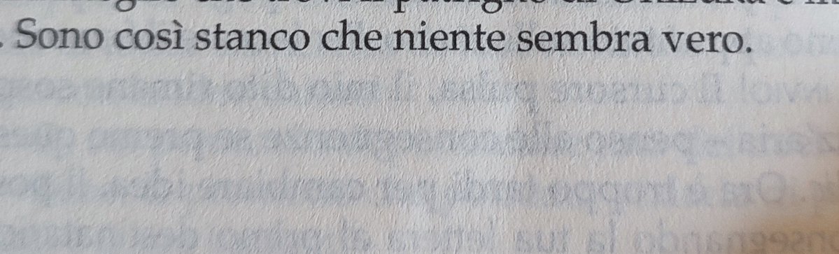 Checco Coniglio tweet media