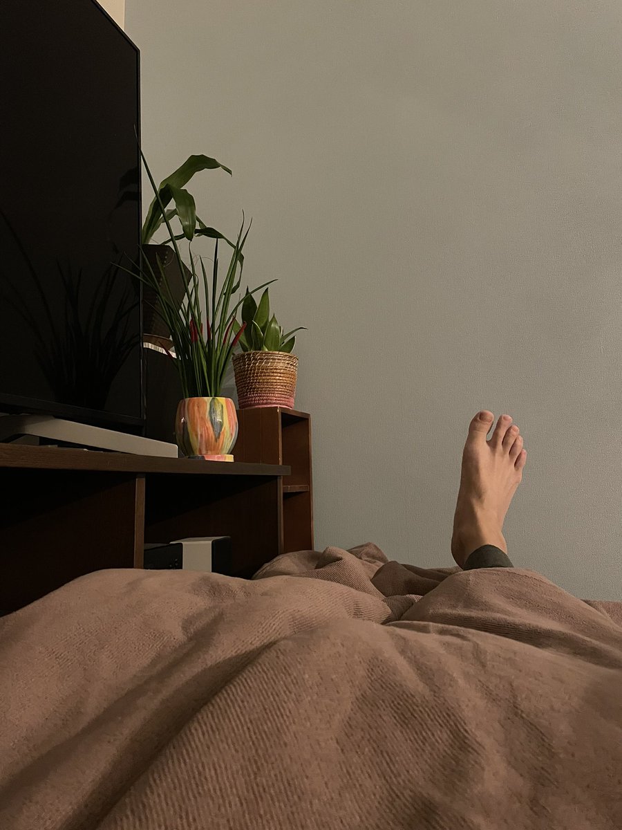 さとぼう tweet media