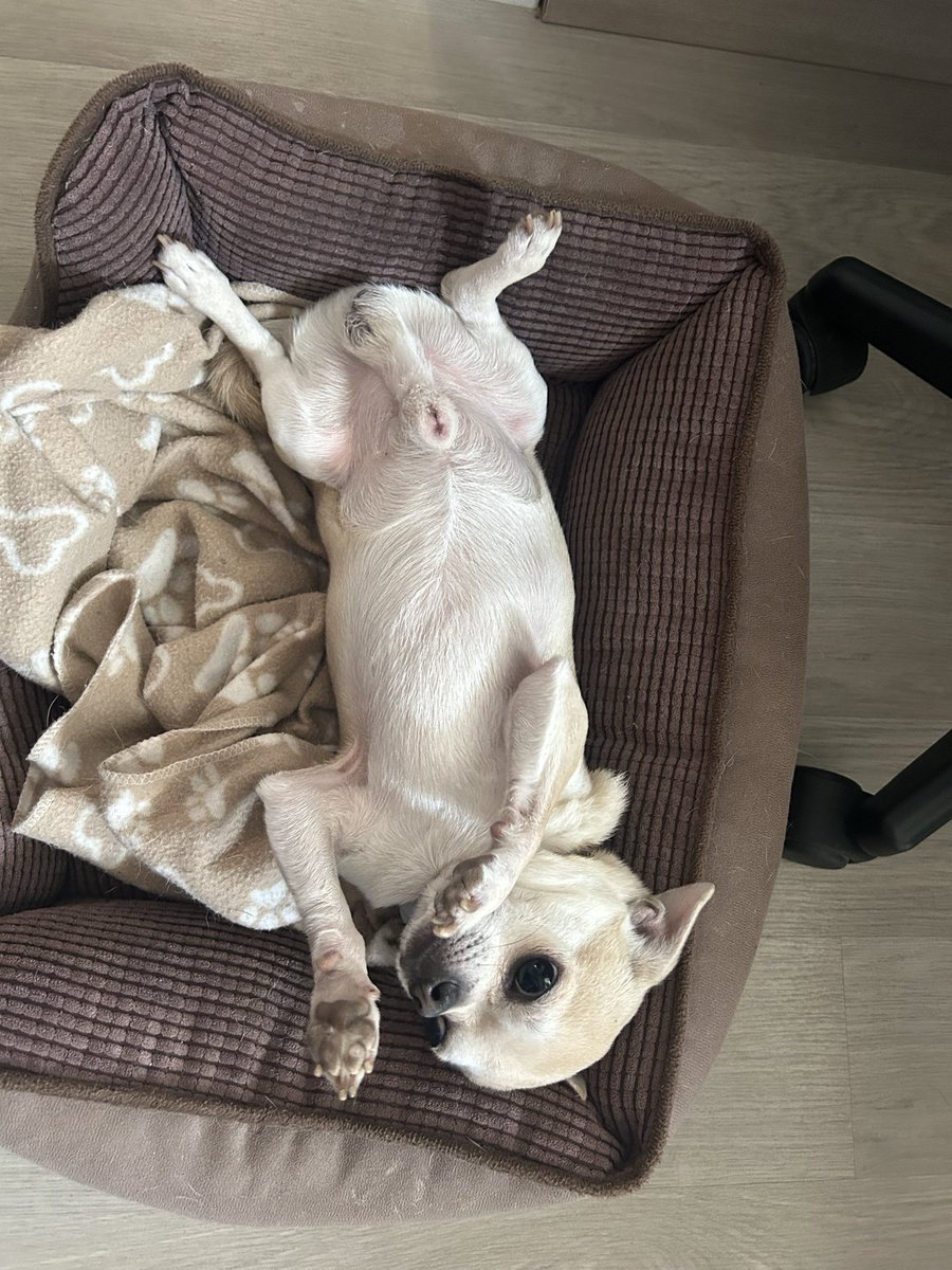 Òscar Ureña Serrano tweet media