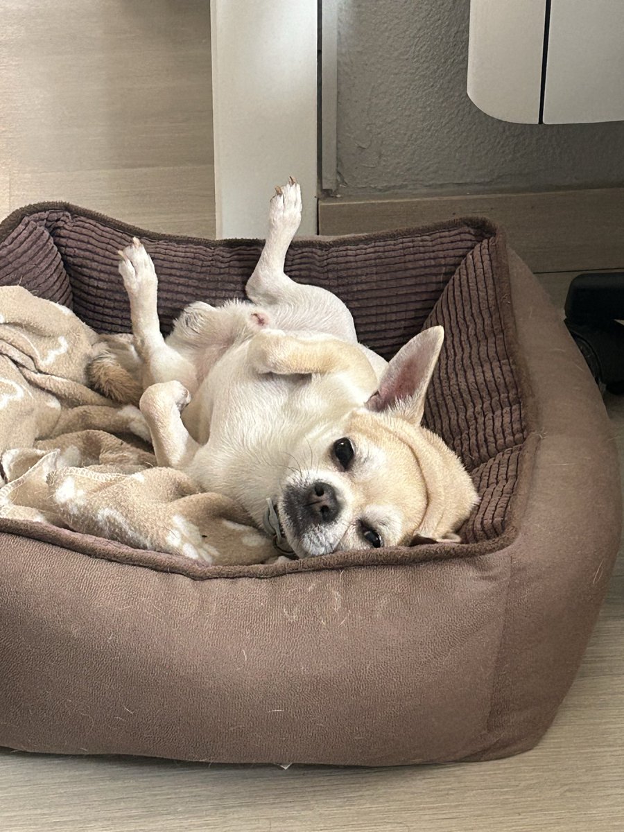 Òscar Ureña Serrano tweet media