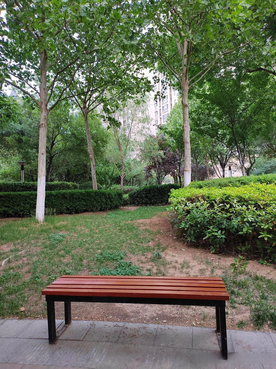 Nikiema Paco tweet media