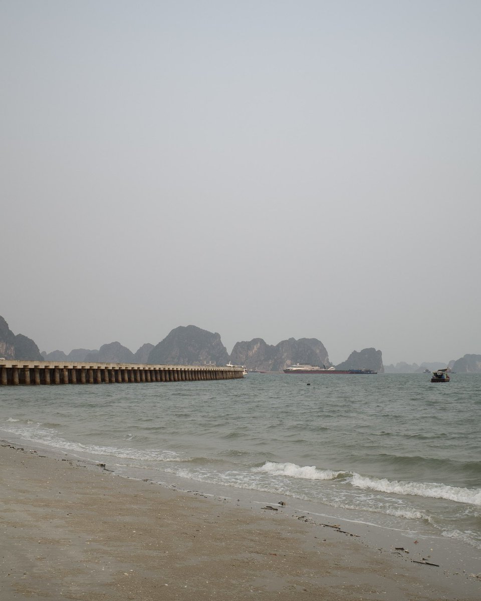 Kirill Lipovoi tweet media