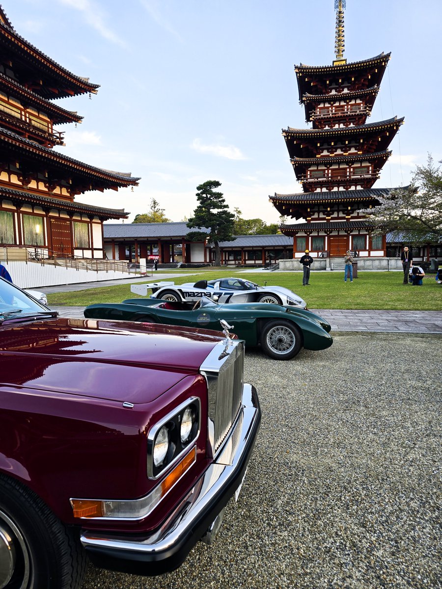 Angelfish tweet media