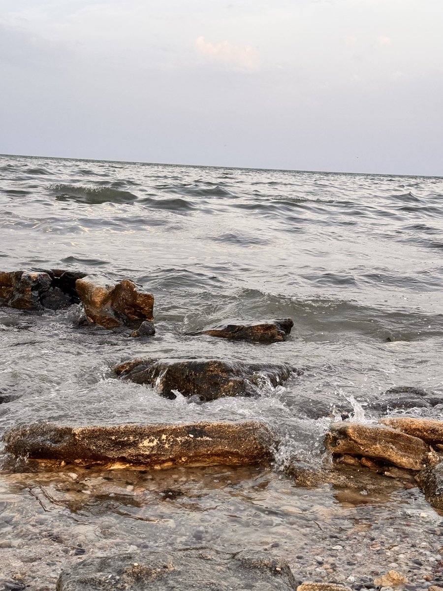 مظفر عبدالله راشد tweet media