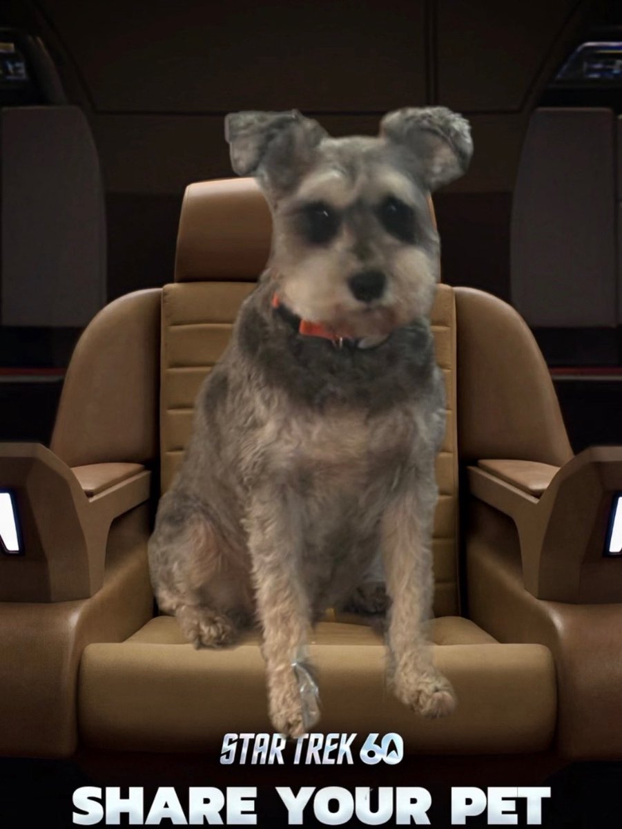 Holodeck Four tweet media