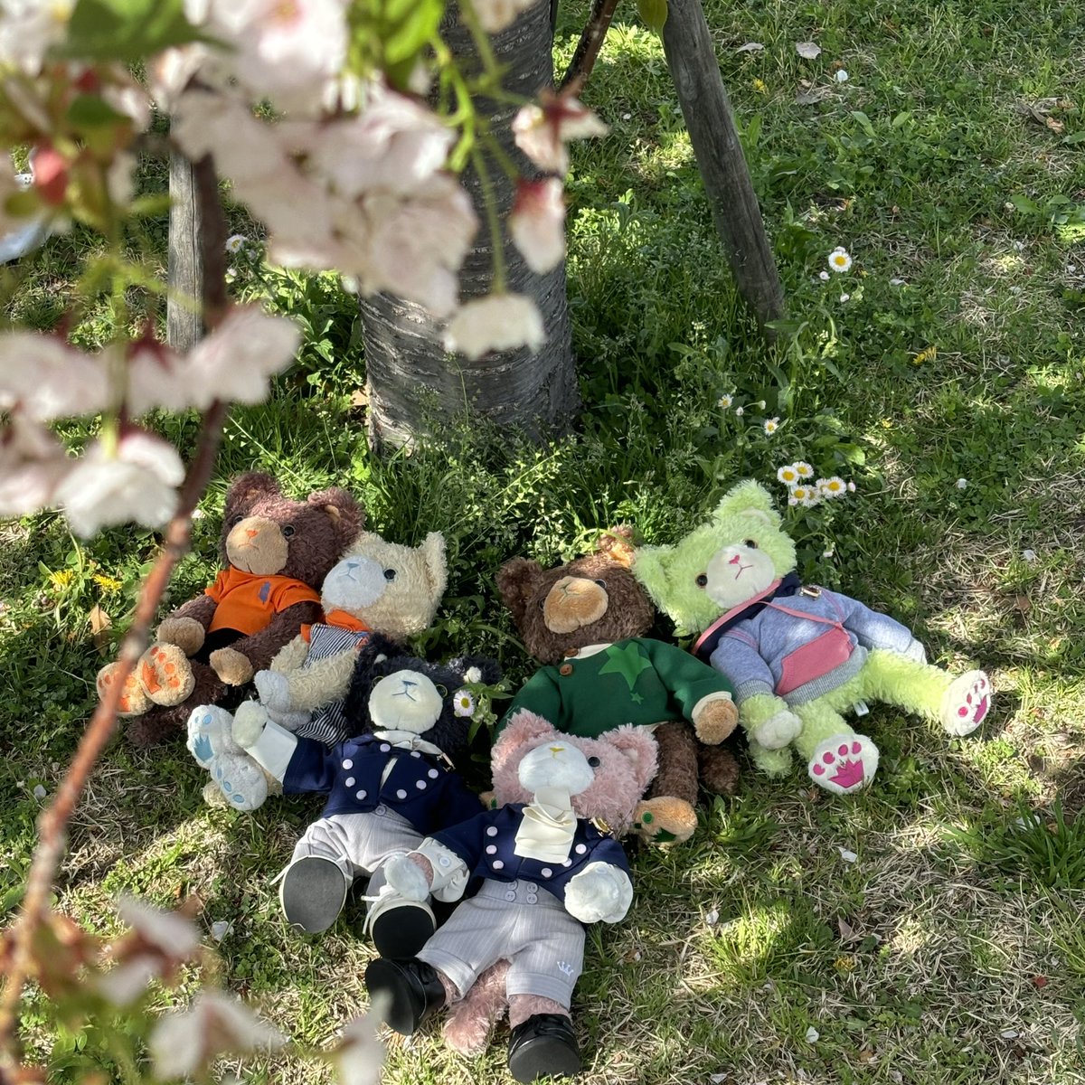 あずき tweet media