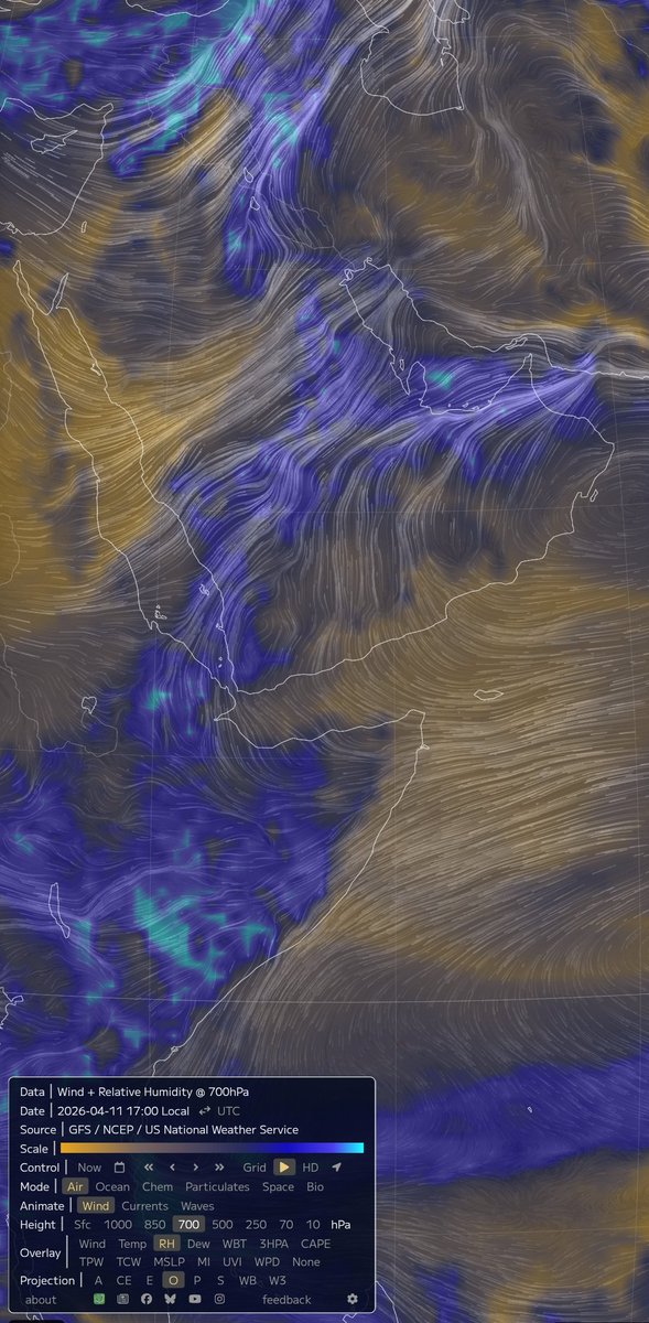 عبدالرحمن عمر التمبكتي tweet media