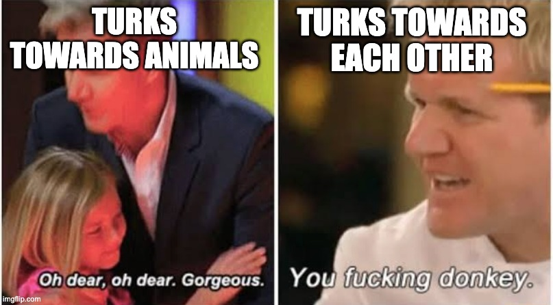 Akin Unver tweet media