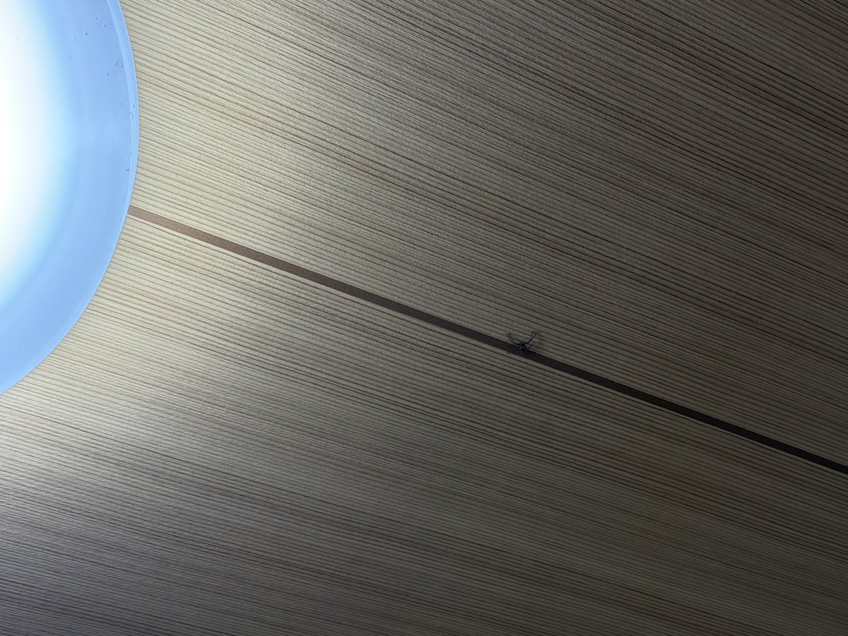 sunlightover tweet media