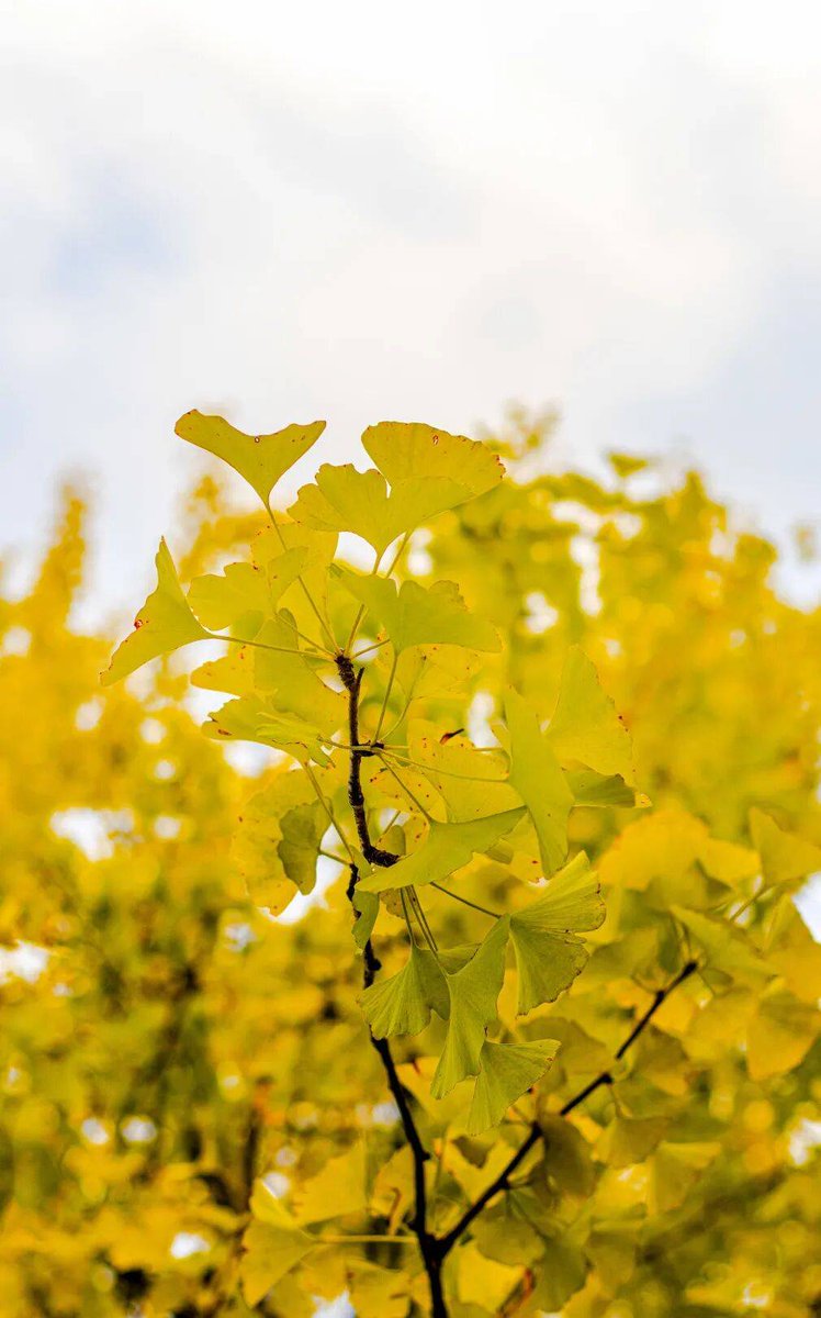 Nong namita ka tweet media