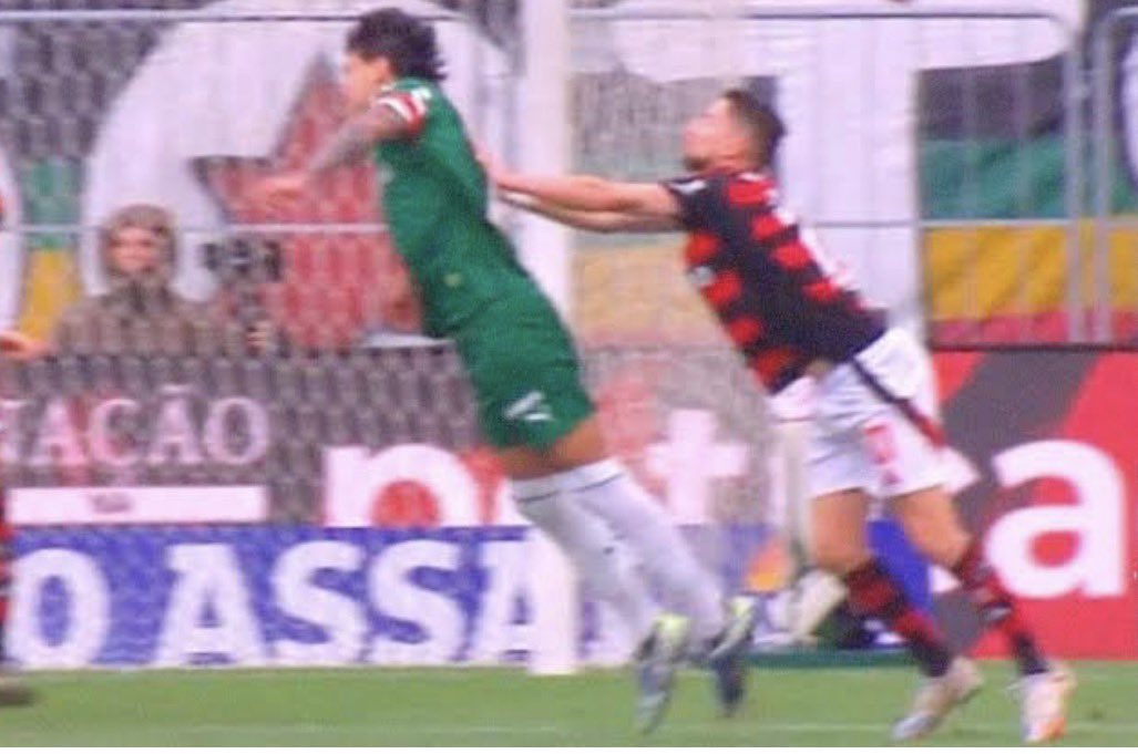 DataPorco tweet media