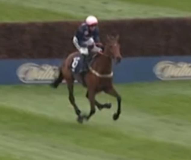 Scotland for Animals tweet media