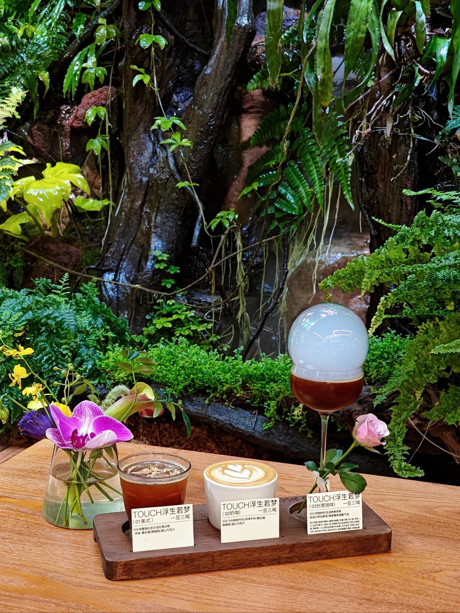 Carolyn Bacon tweet media