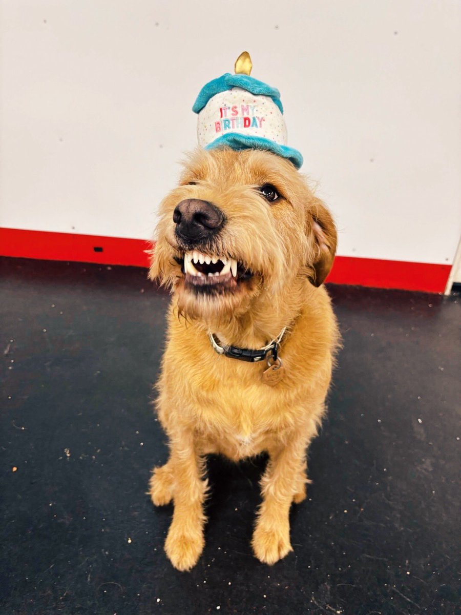 x - Bon ‘eh 2.0 🇨🇦 tweet media