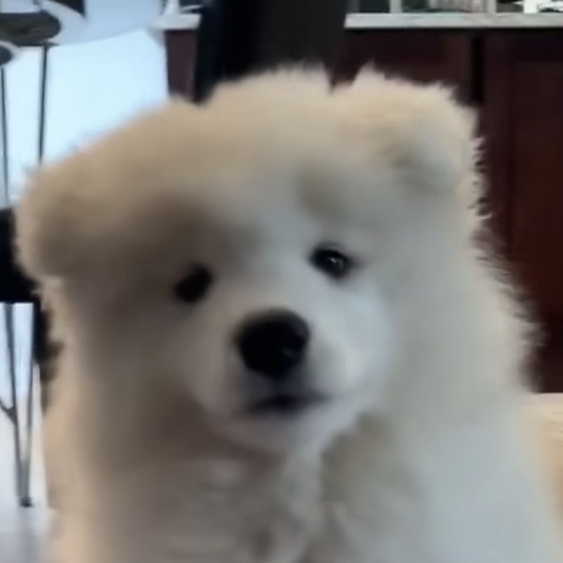 เว่ยผิง tweet media