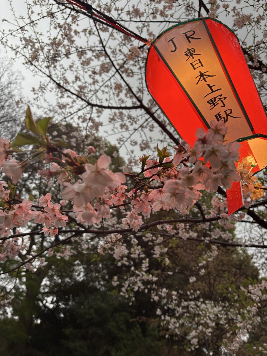 Vivi@Ifrit(ぱぴ子) tweet media