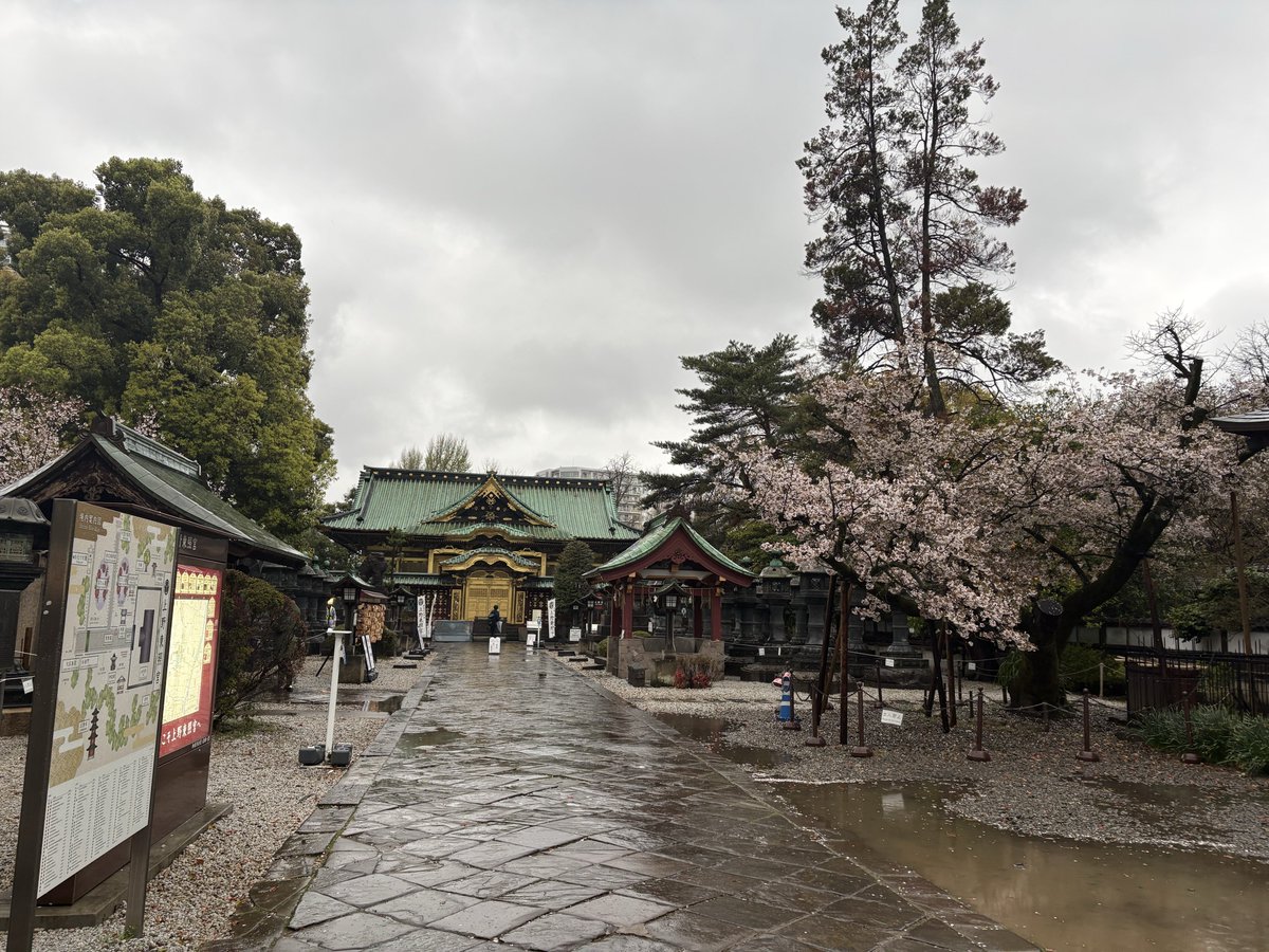 Vivi@Ifrit(ぱぴ子) tweet media