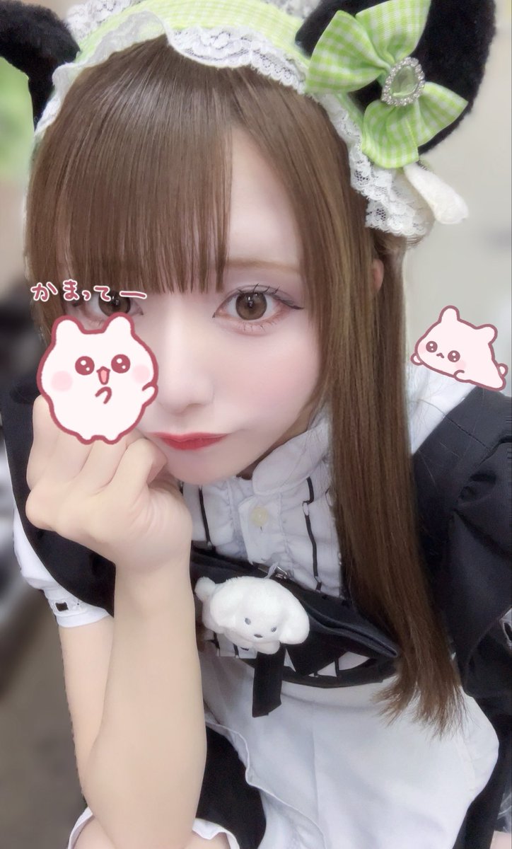 まよい💚 tweet media