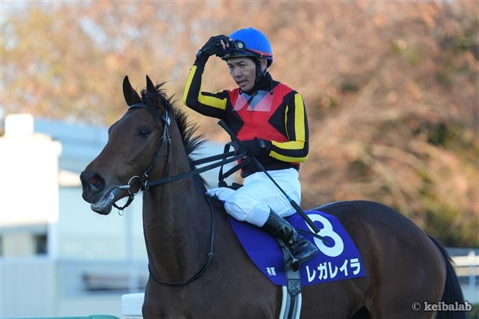 競馬ラボ tweet media