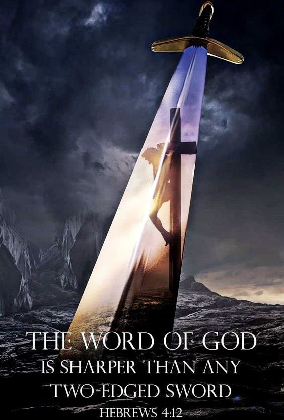 Rob Blakeney ™ 🇺🇸 tweet media