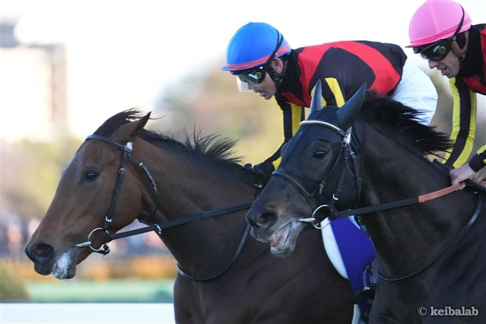 競馬ラボ tweet media