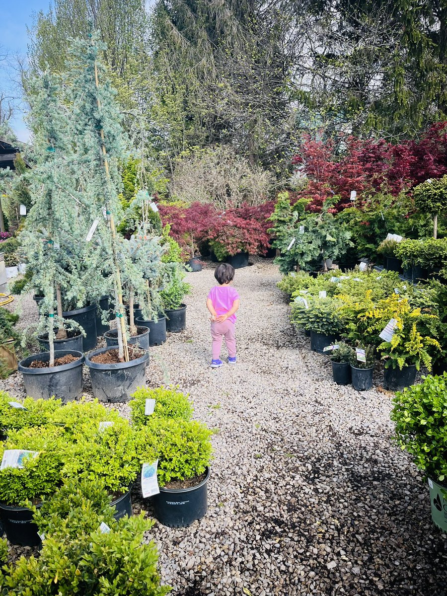 DystopicHippy ✍🏾 tweet media