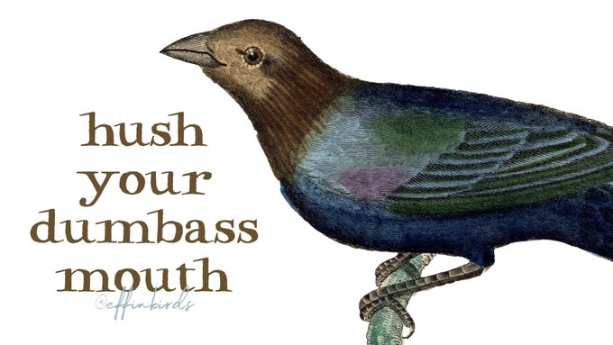 Dan Henry tweet media