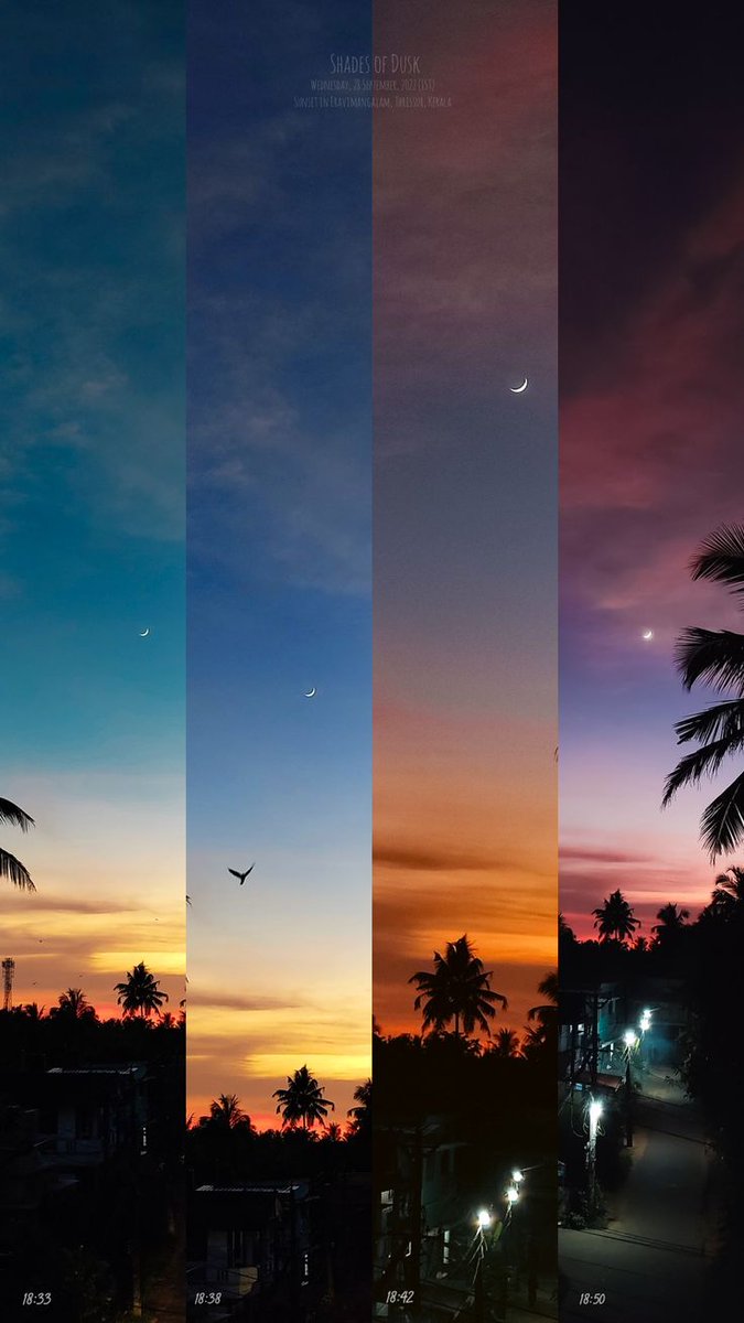 Aesthetics tweet media