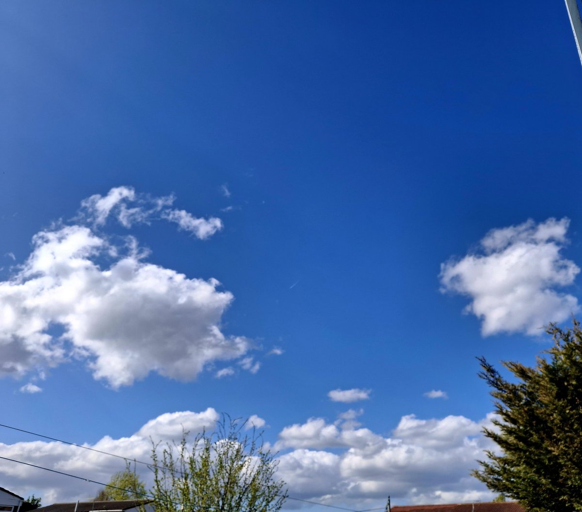 🌹𝓢𝓷𝓸𝔀𝓦𝓱𝓲𝓽𝓮🌹 ✨𝒮𝓃ℴ𝓌𝓎✨ tweet media