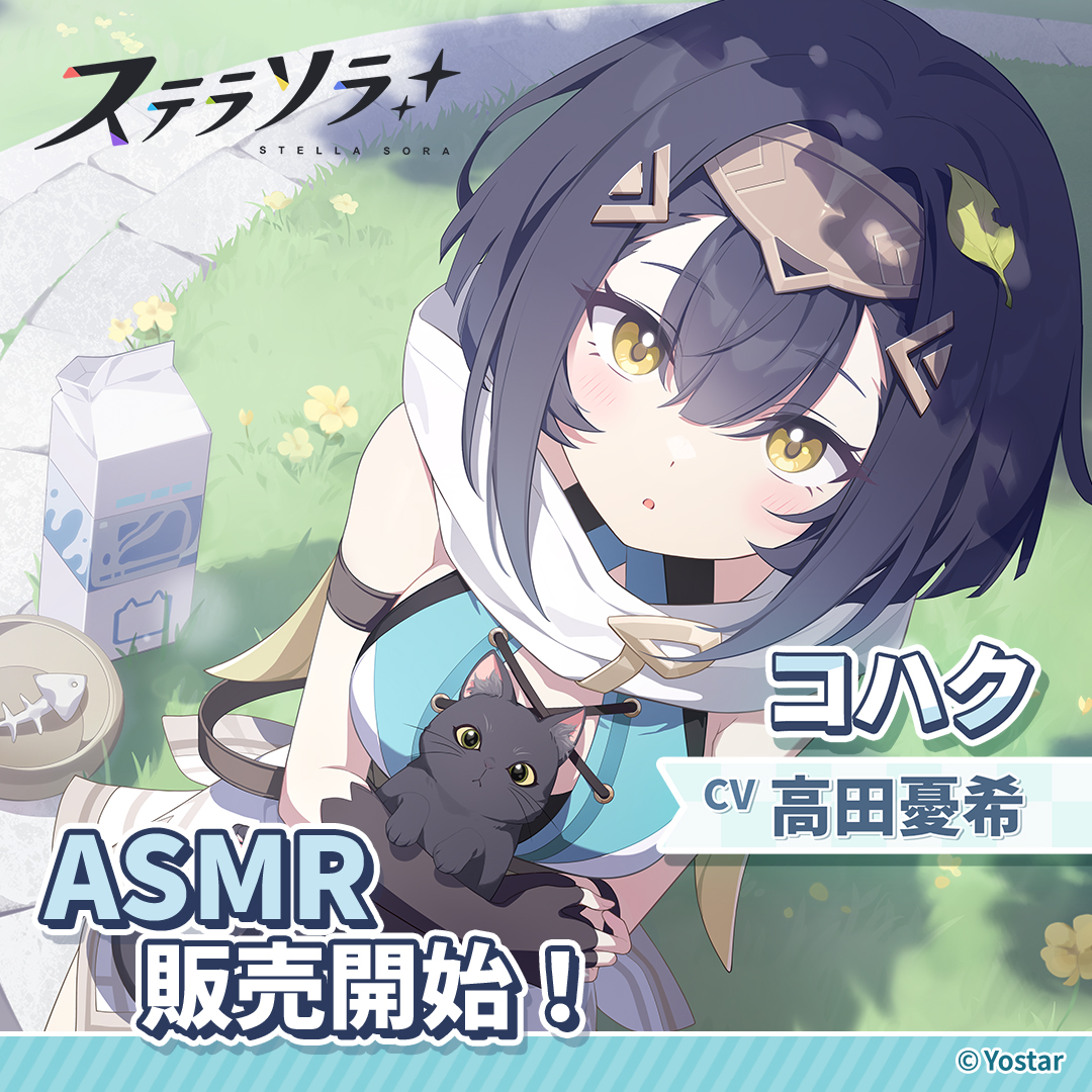 ステラソラ公式 tweet media