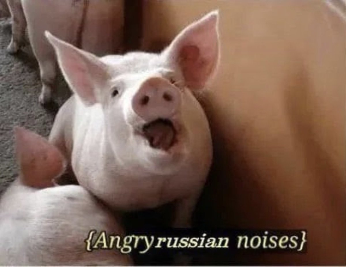 VAEvanGils's tweet photo. @rusembassynl This 👇 is you and yes you are 100% our enemy. 
You're still Nazi 🇷🇺 like 87 years ago during the Molotov-Ribbentrop act. The issue is, you're not #denazified and 🇩🇪 is.
Now get the f*ck out of 🇺🇦, 🇲🇩 and 🇬🇪!! Pay them and start with #Denazification and #deputinisation https://t.co/IrYxMJjNLW
