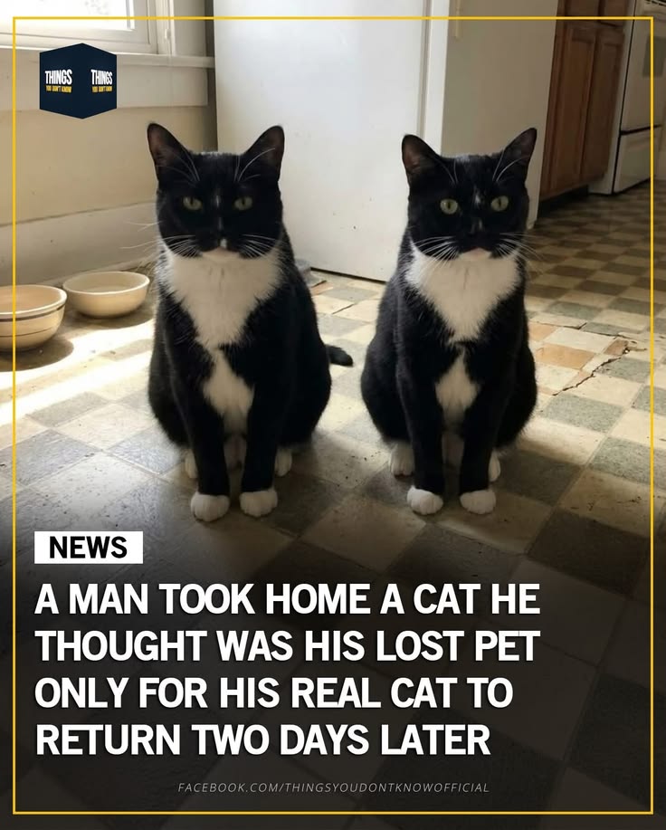 🐺Wolfx#MuzikkZøne🎶 #𝘛eam𝘋øll𝘕ATURE CoFounder tweet media