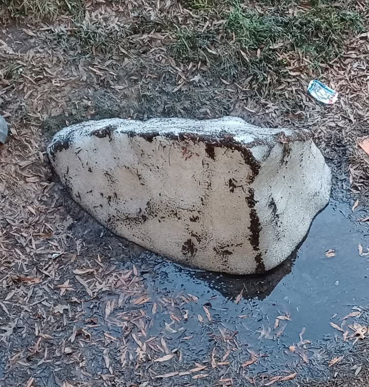 Capital Weather Gang tweet media