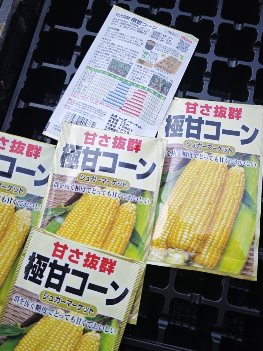 温泉小僧(온천애송이) tweet media