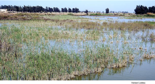 smashterror! tweet media