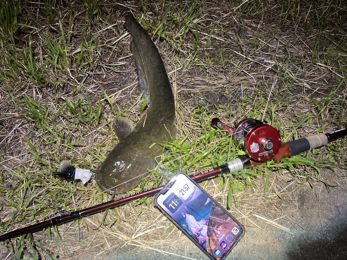 4445ayagabu's tweet image. のすけさんと夜ﾅﾏ(ง˘ω˘)วﾅﾏ
4キャッチ✌️
楽しくワイワイ喋りながら٩(ˊᗜˋ*)و♪
お疲れ様でした〜
また是非行きましょ💪
@Nosuke_1027 
#Fishman
#BC4510XH
#猫バグ
#トップオンリー
#バーブレス
#シングルフック
#ナマズ釣り
#鯰