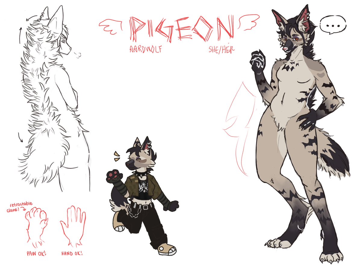 kitra / pidge tweet media