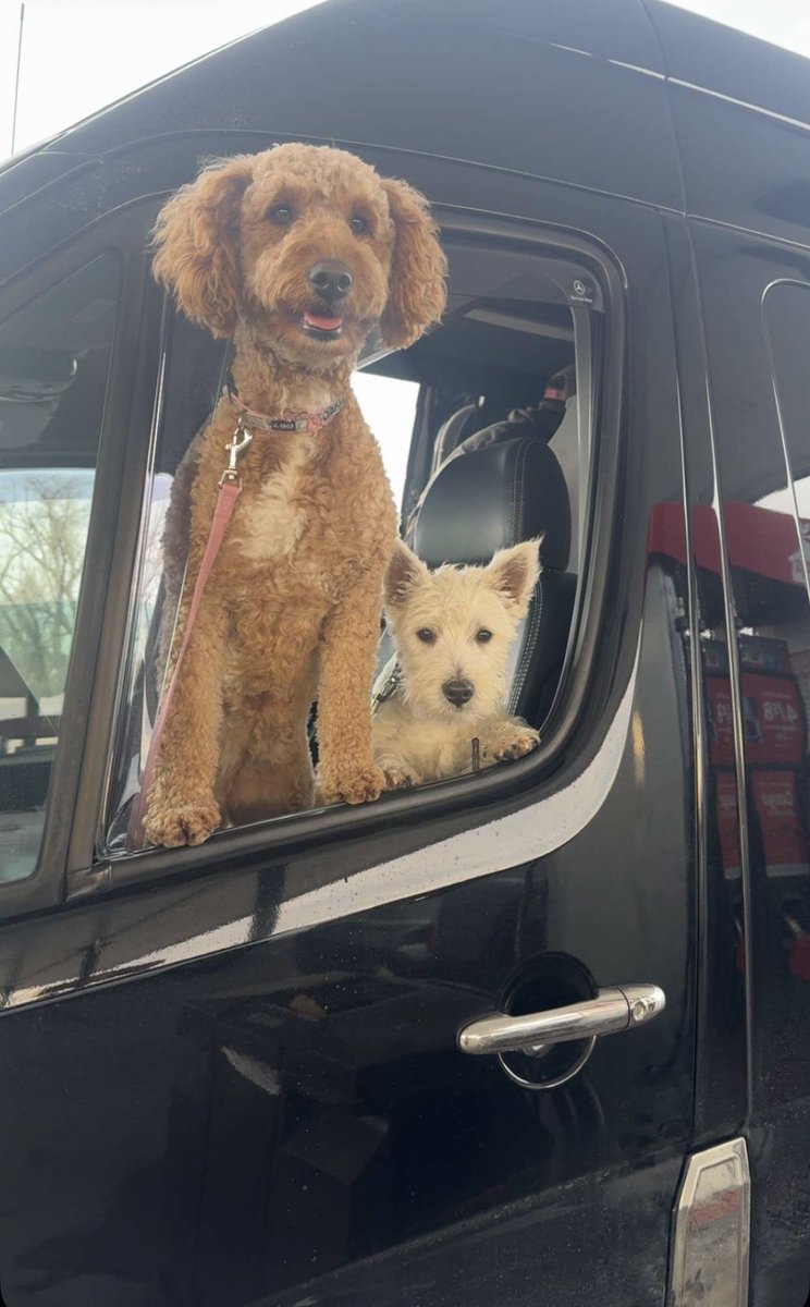 Part time tweet media