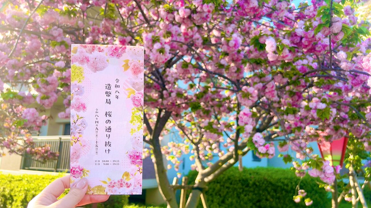 ◎みさと◎ tweet media