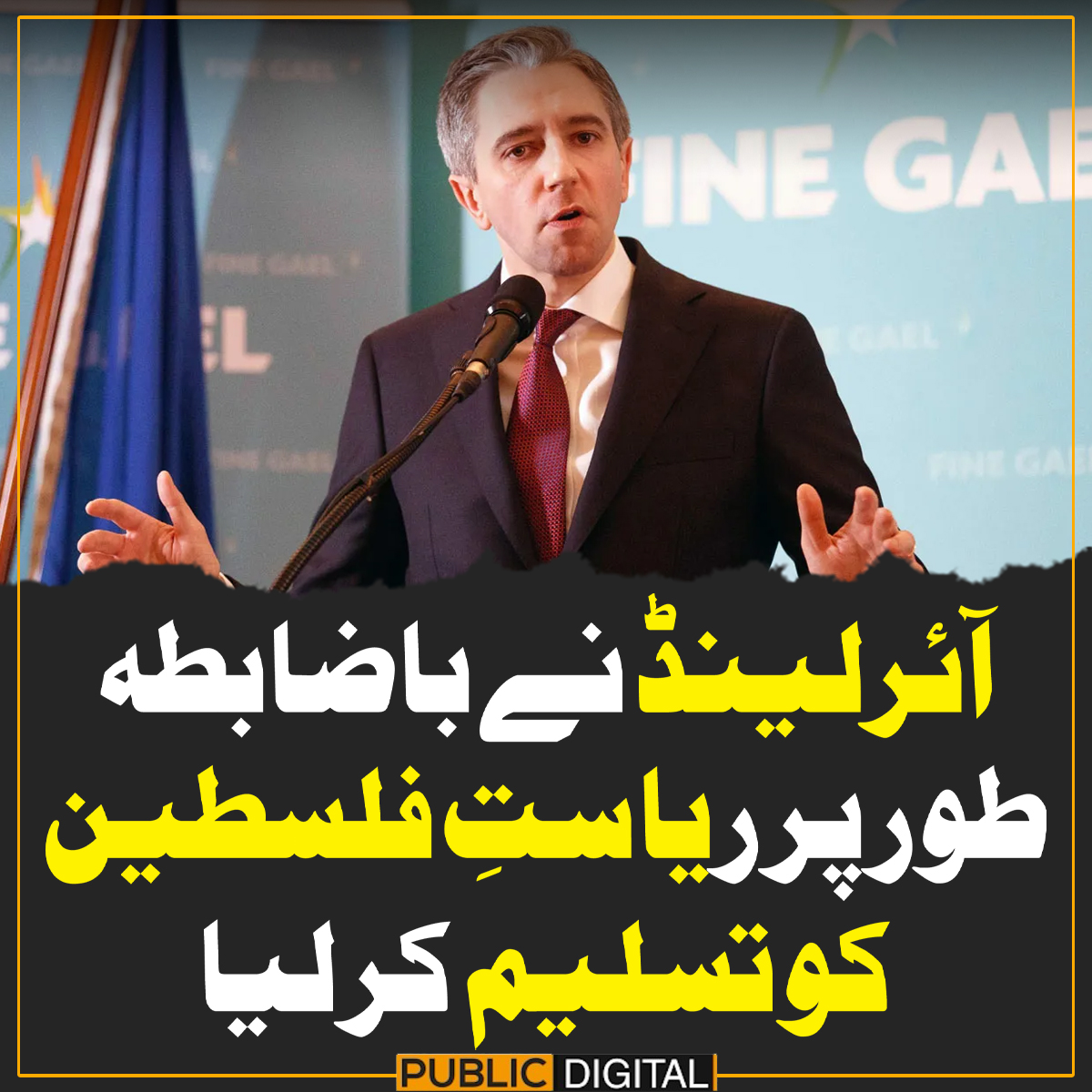 آئرلینڈ نے باضابطہ طور پر ریاستِ فلسطین کو تسلیم کر لیا

#PublicNews #PublicUpdates