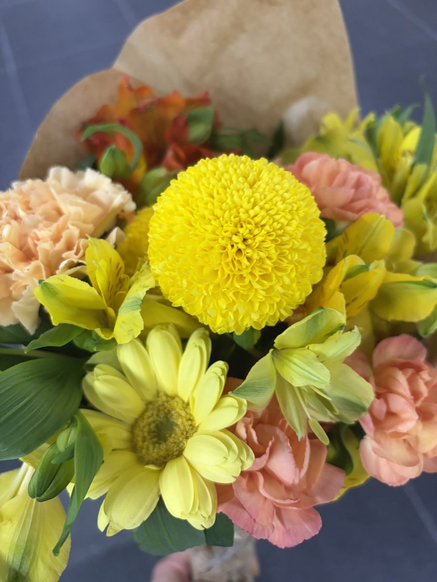 わんか🦫 tweet media